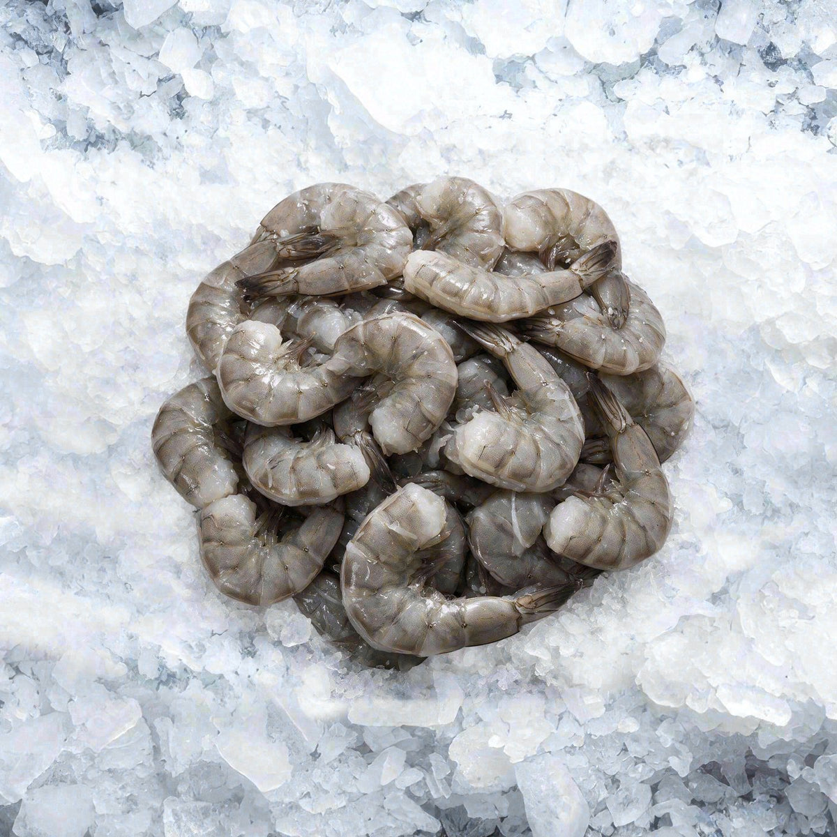 Camarones Jumbo EZ Peel 26/30 (2lb)