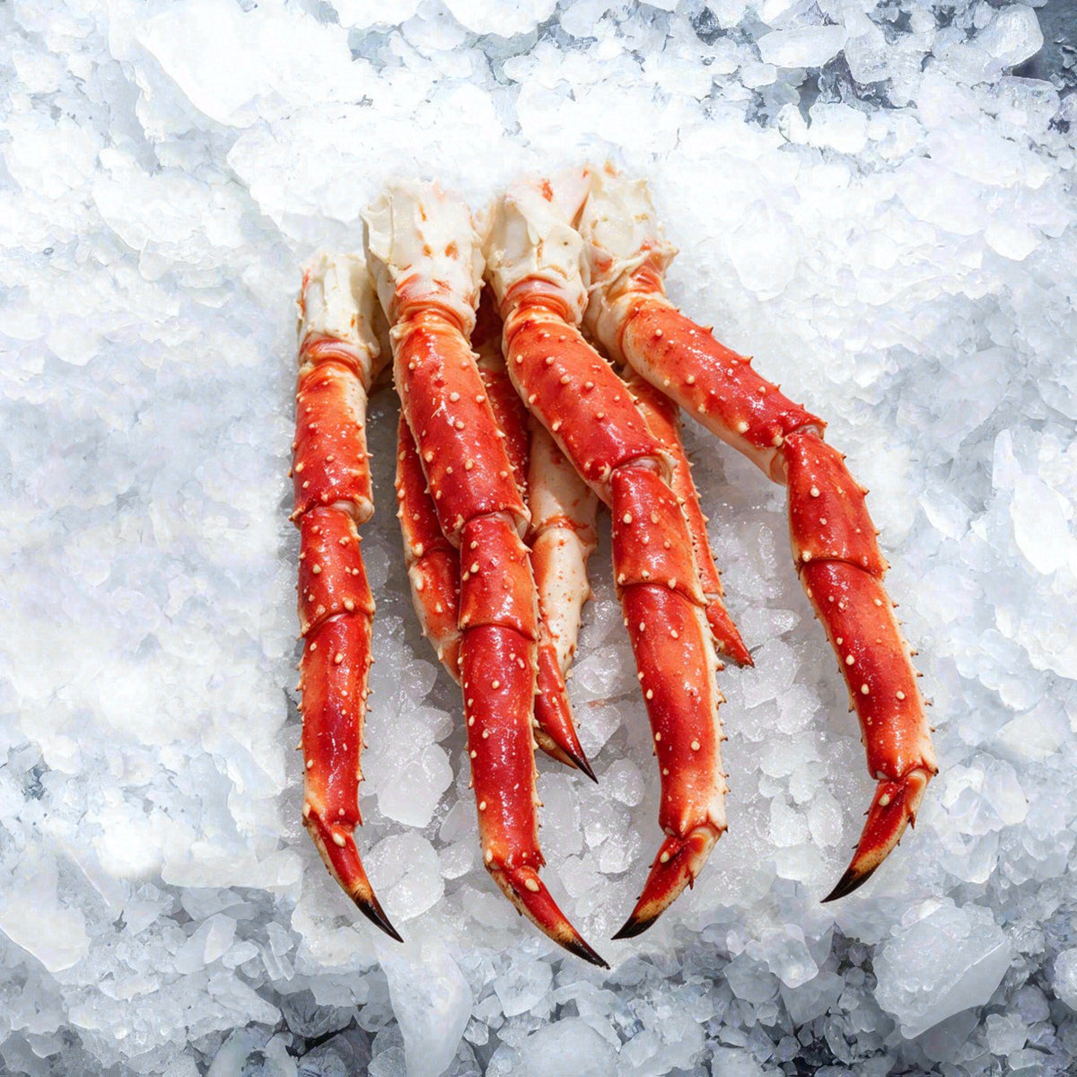 King Crab (2lbs)