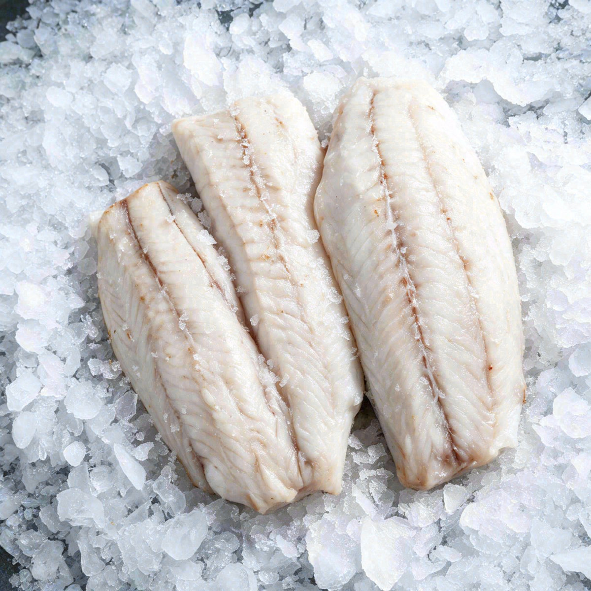 Barramundi Fillet (3pcs)