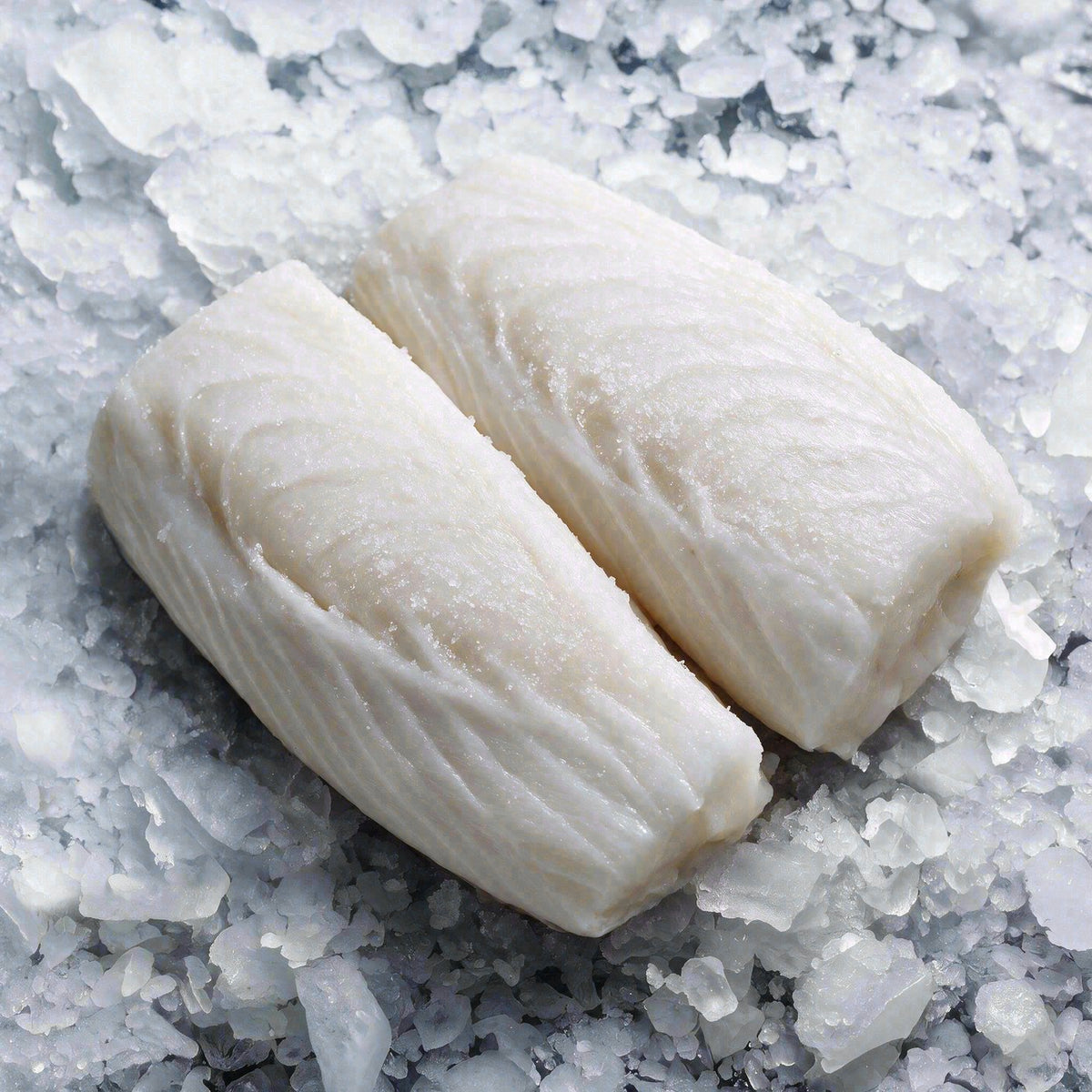 Corvina chilena (2 unidades)