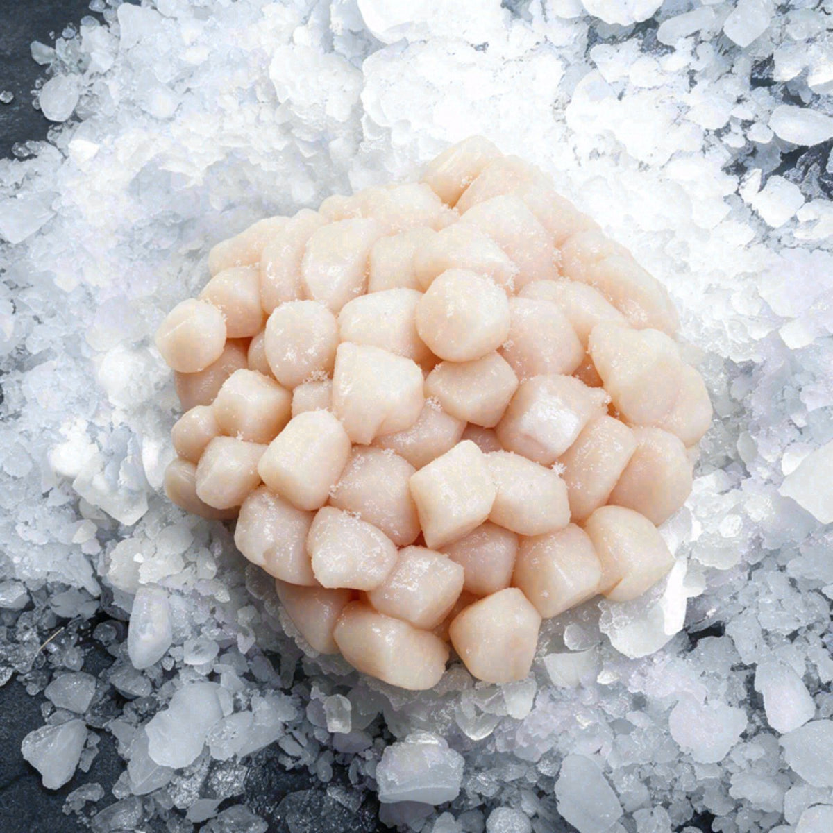 Vieira mediana (450g)