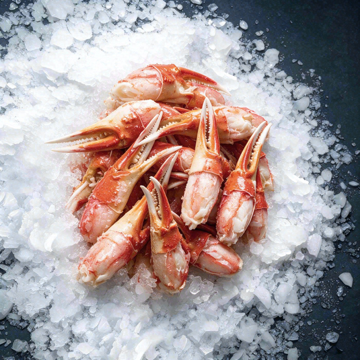 Pinzas de cangrejo de las nieves (3 lbs)