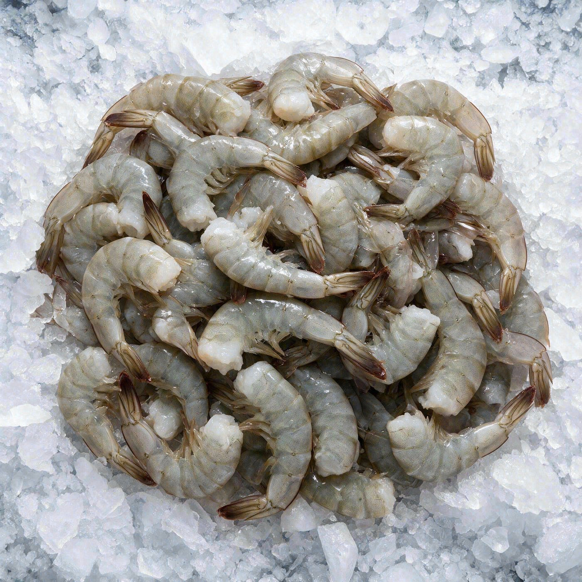 Langostinos grandes 21/25 (4 lb)