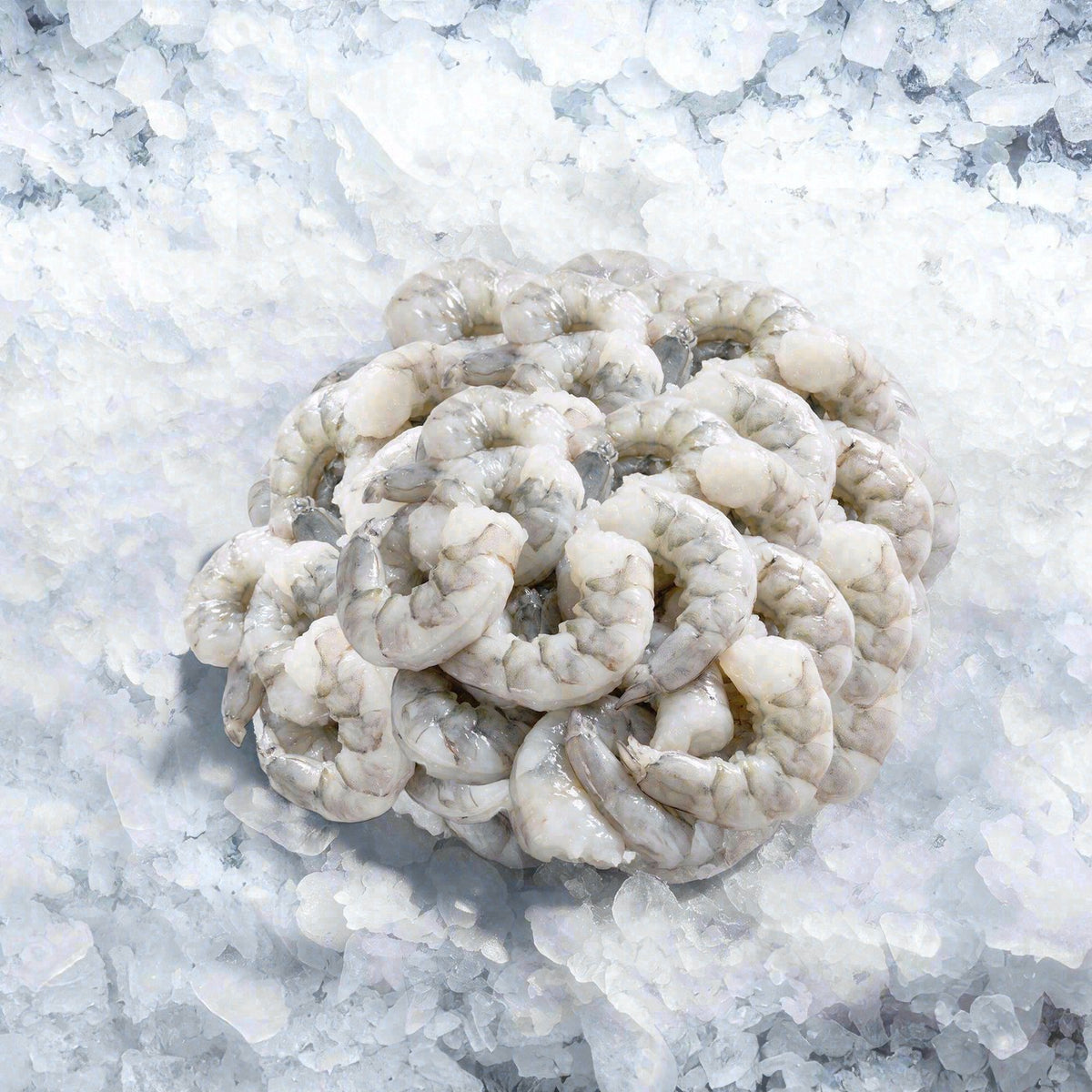 Medium Peeled Shrimp 41/50 (2lbs)