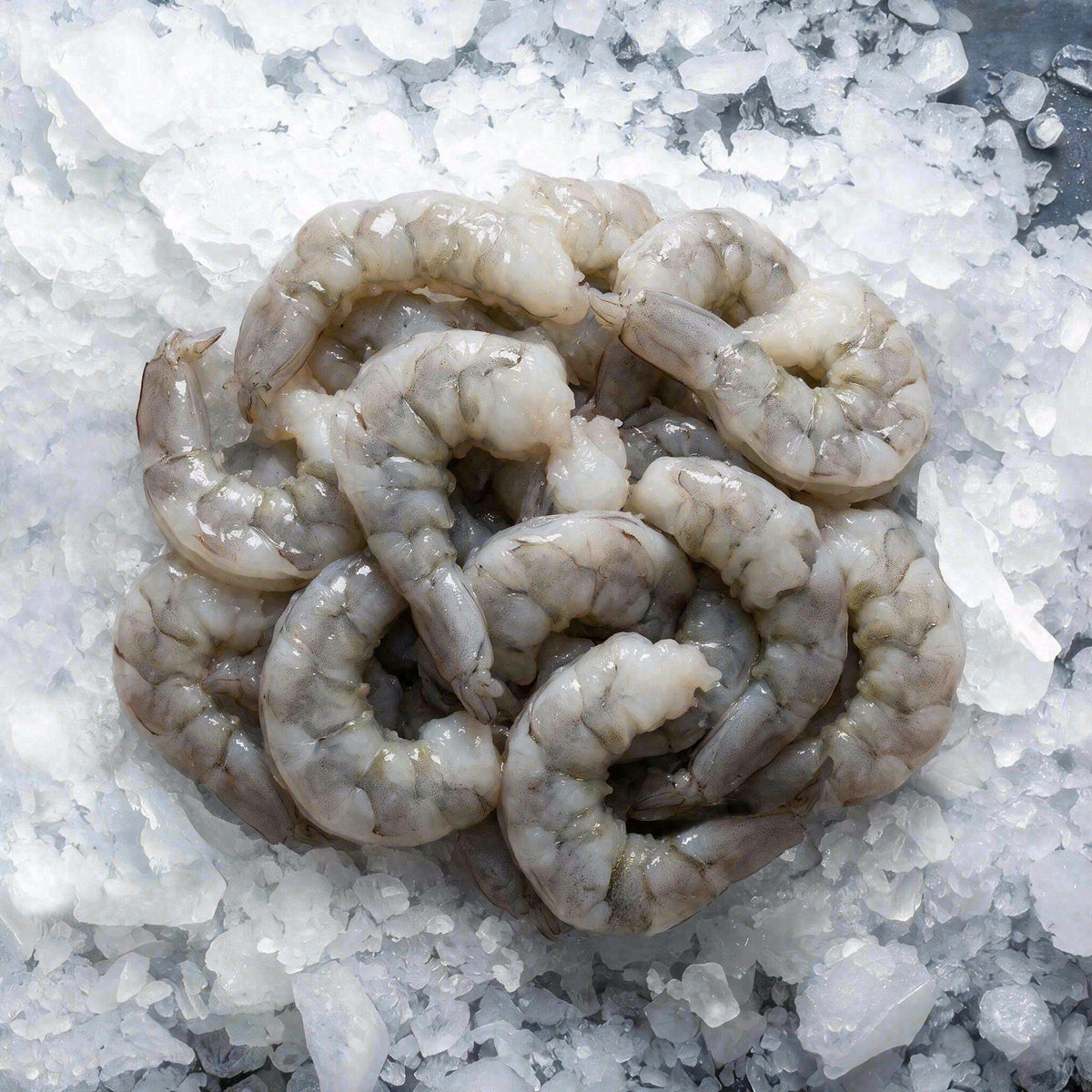 Extra Jumbo Peeled Shrimp 16/20 (2lb)