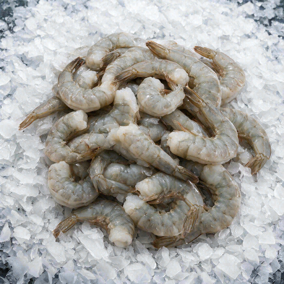 Extra Jumbo 16/20 (4lbs)