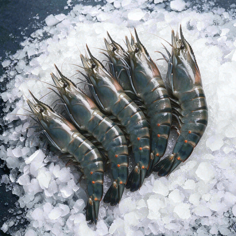 Freshwater Shrimp 6/8 (2lb)