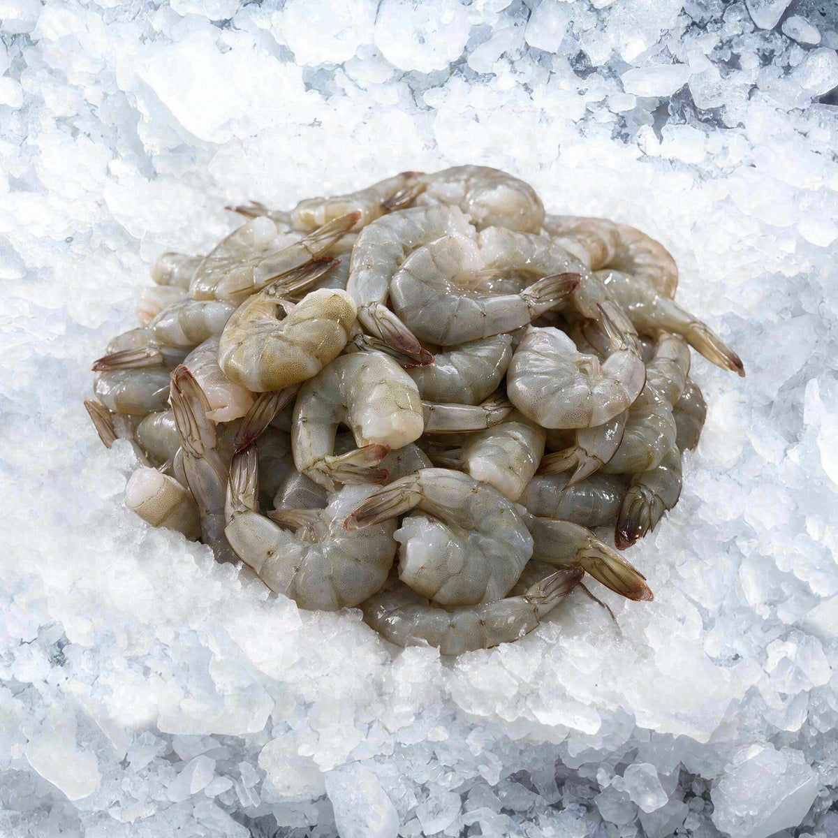 Small Shrimp 71/90 (4lb)