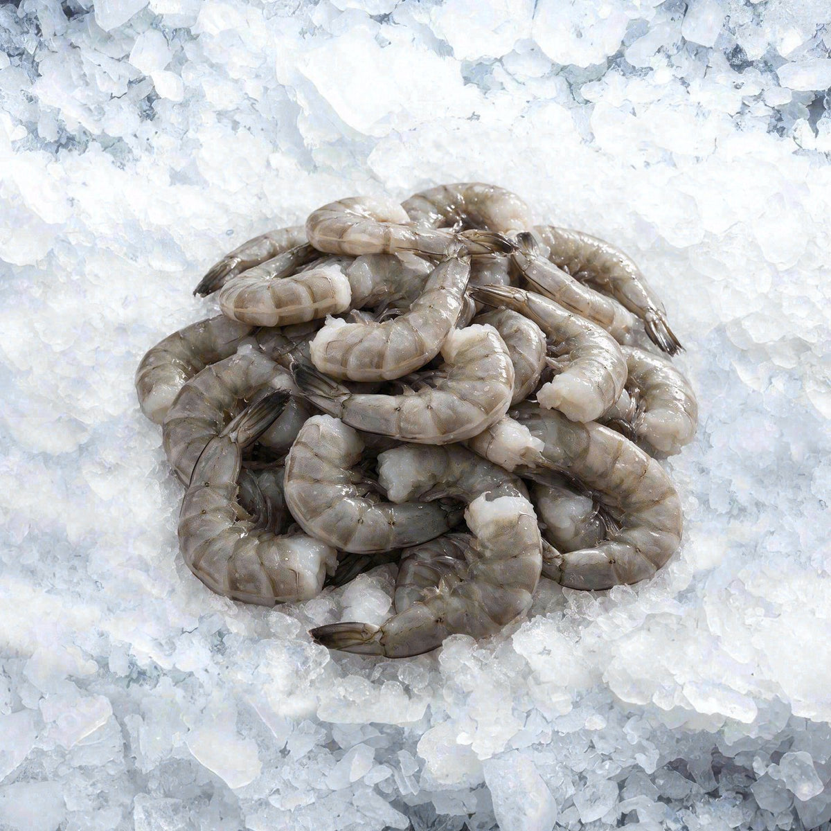 Camarón extra jumbo EZ Peel 16/20 (1 lb)