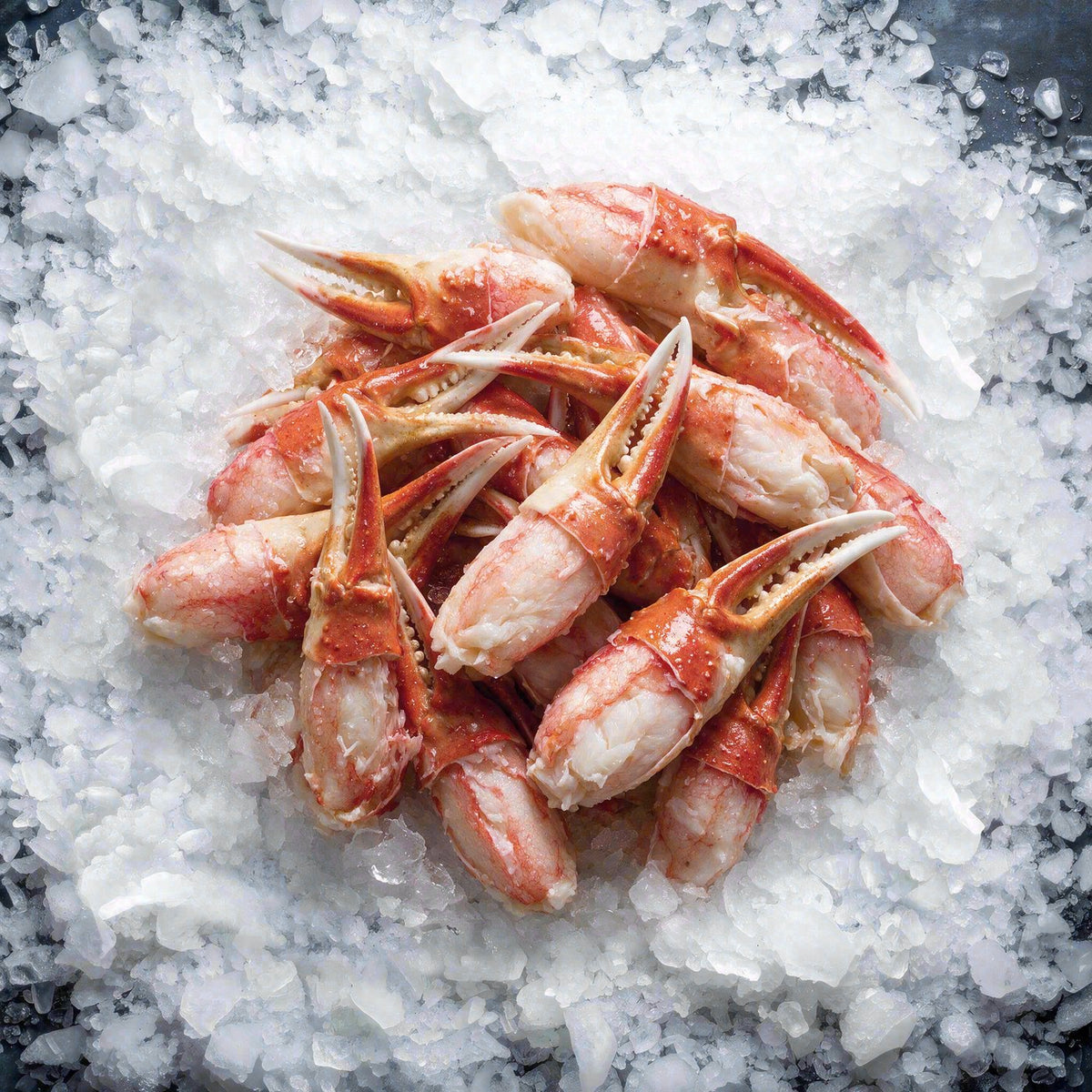 Snow Crab Cocktail Claws (1lb)