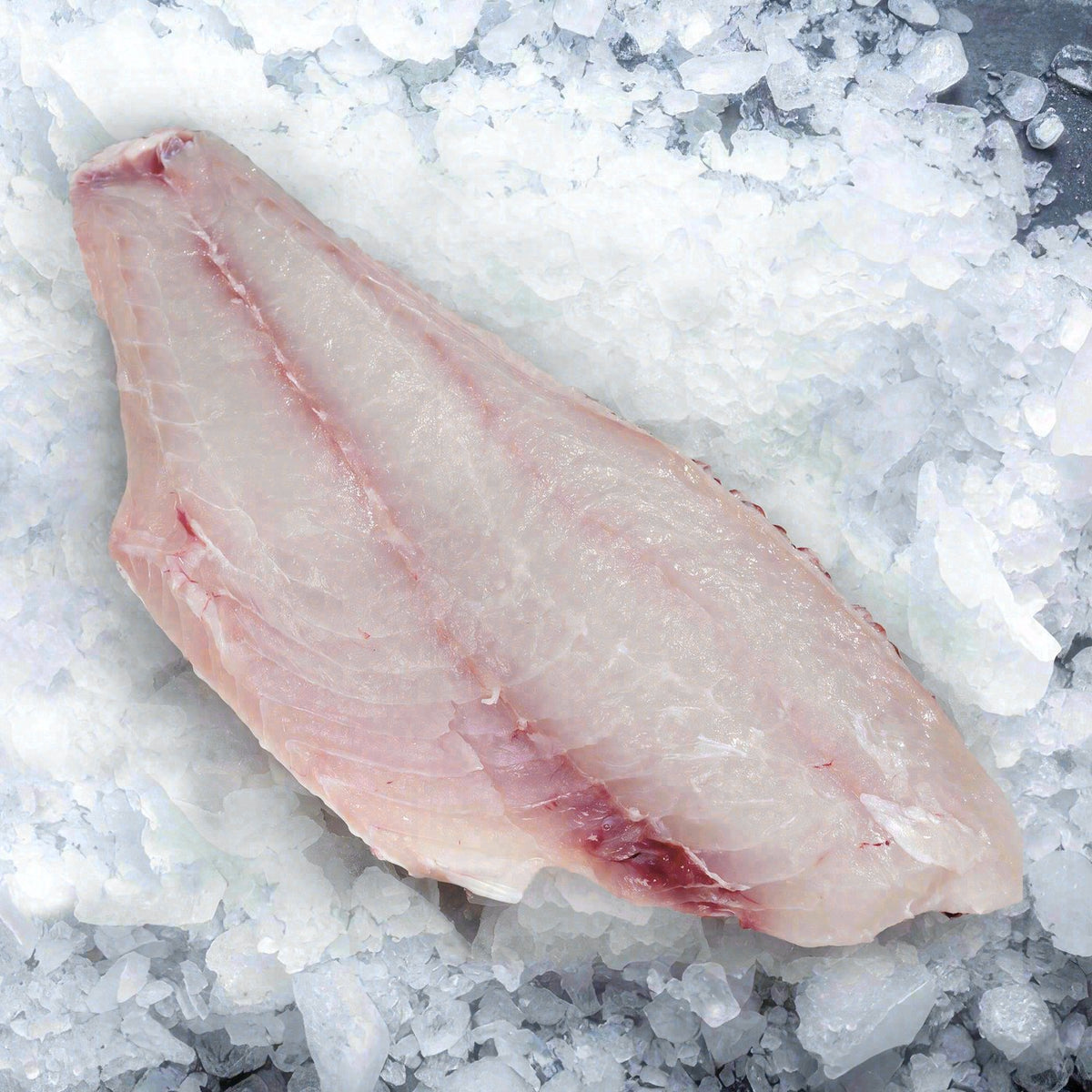 Filete de pargo rojo (2 libras)