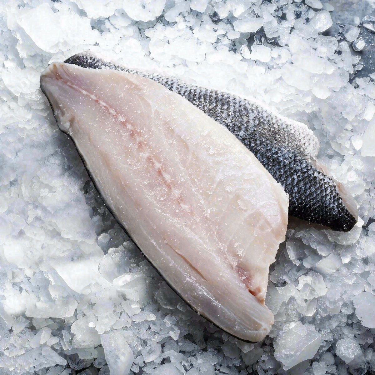 Branzino Fillet (4pc)