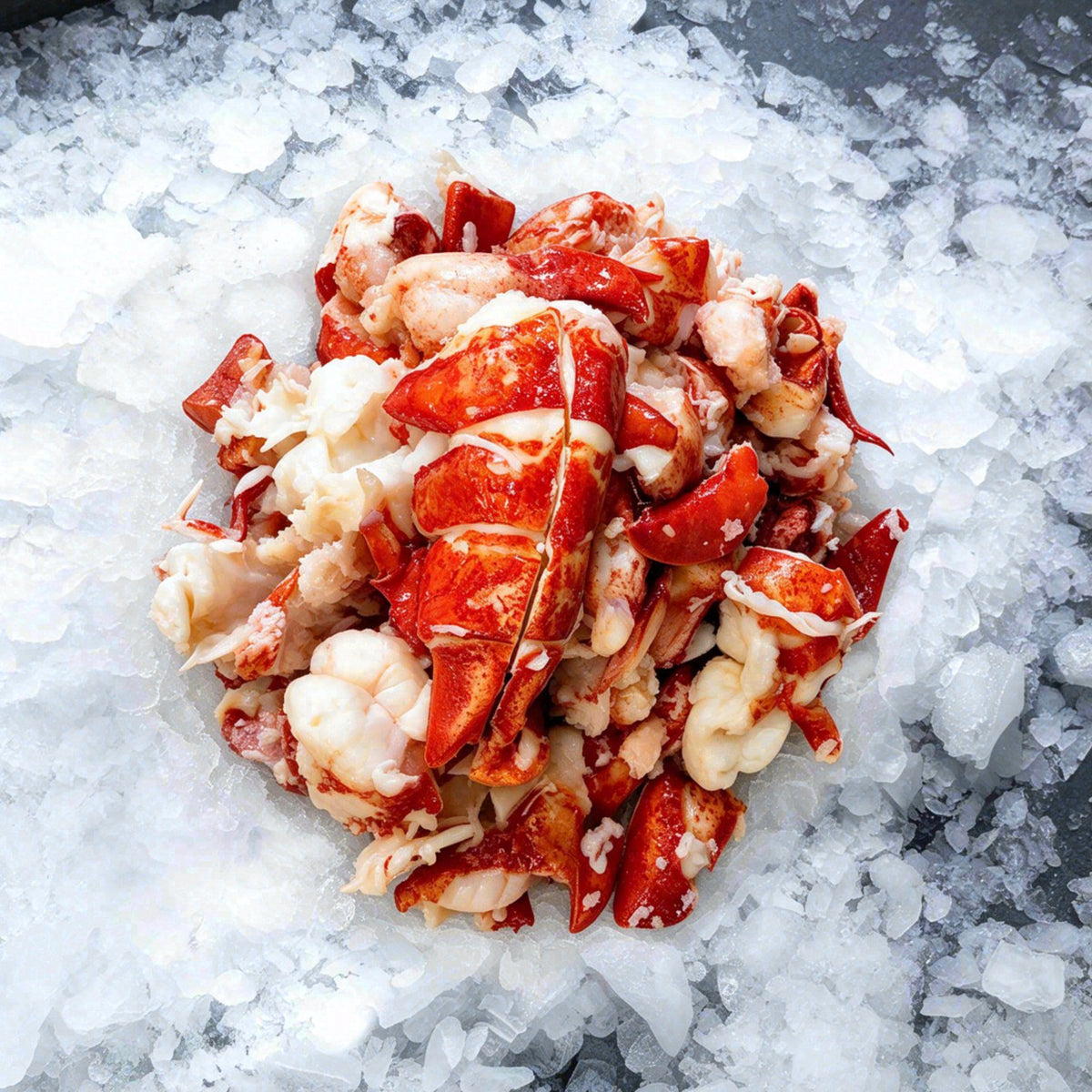 Lobster Meat (1lb)