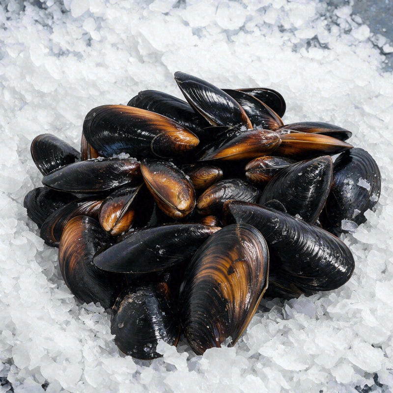 Black Mussel (2lb)