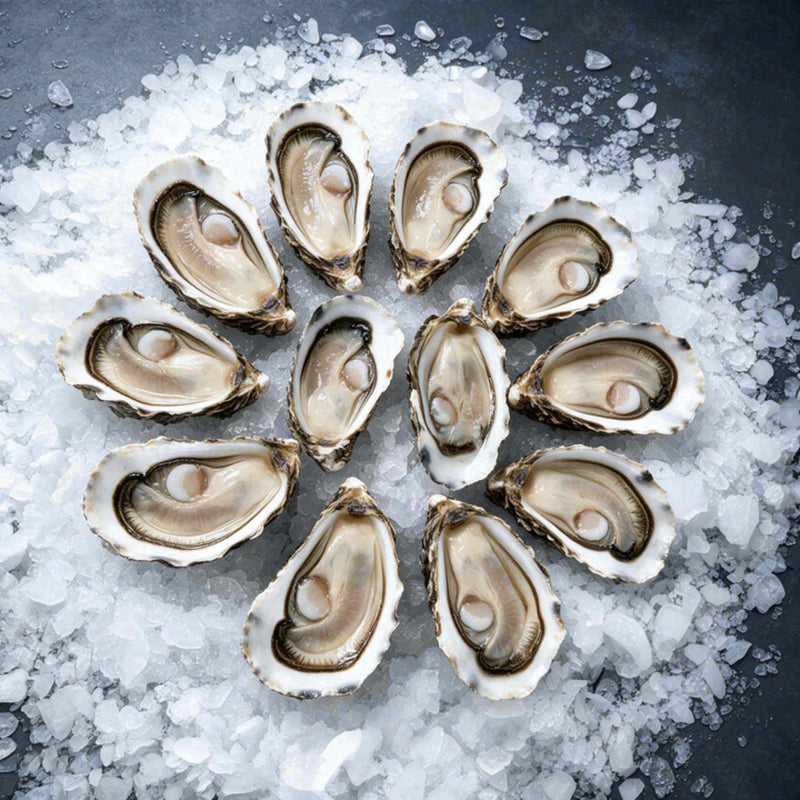 Frozen Oyster (1doz)