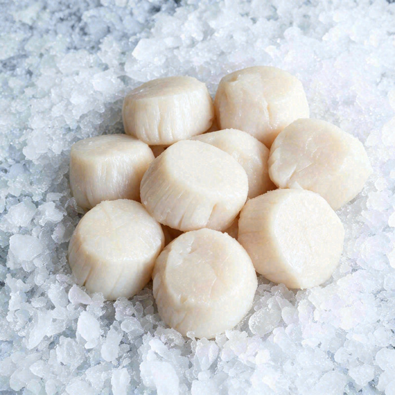 Scallop U/10 Colossal (1lb)