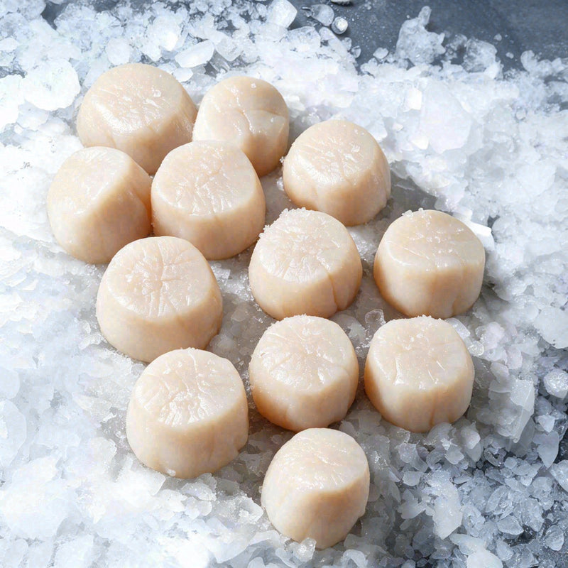 Scallop 10-20 Jumbo (1lb)