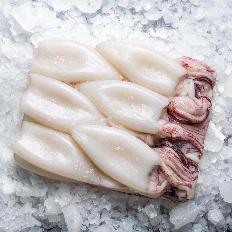 Squid Calamari (2.5lbs)