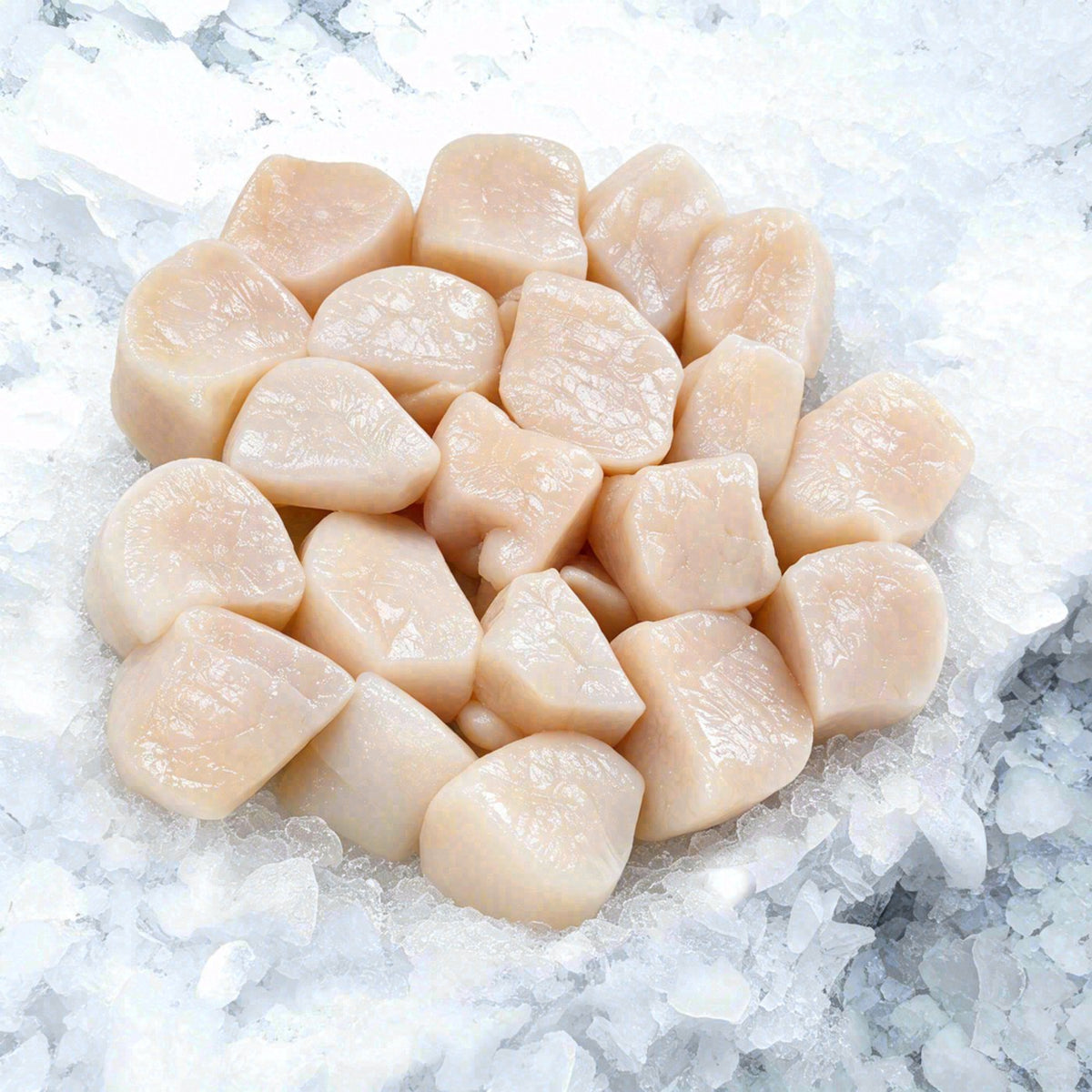 Callo de Hacha (1lb)