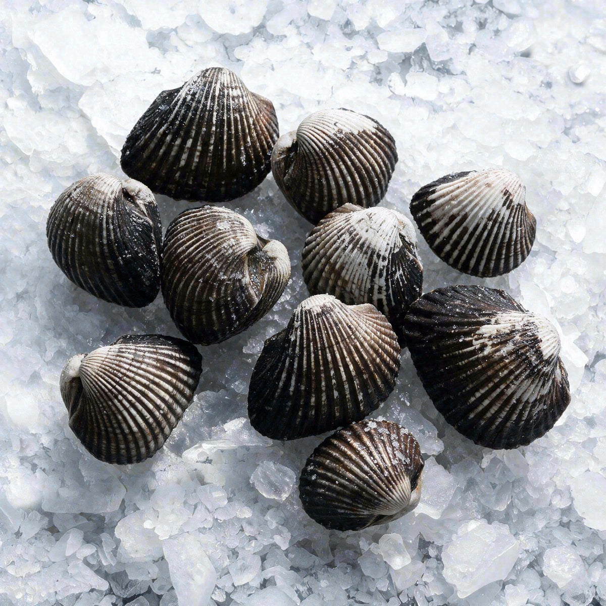 Pata de Mula (10lbs)