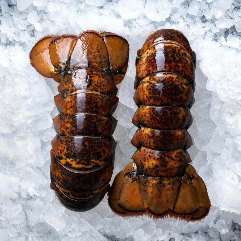 Lobster 8oz (2pcs)