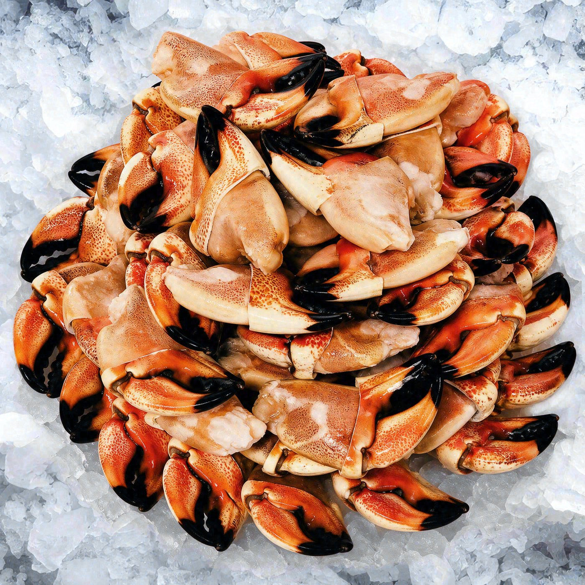 Jonas Crab Claws (1lb)