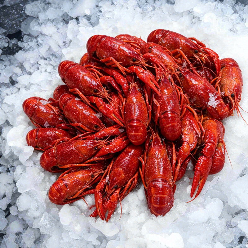 Crawfish Whole (2lbs)